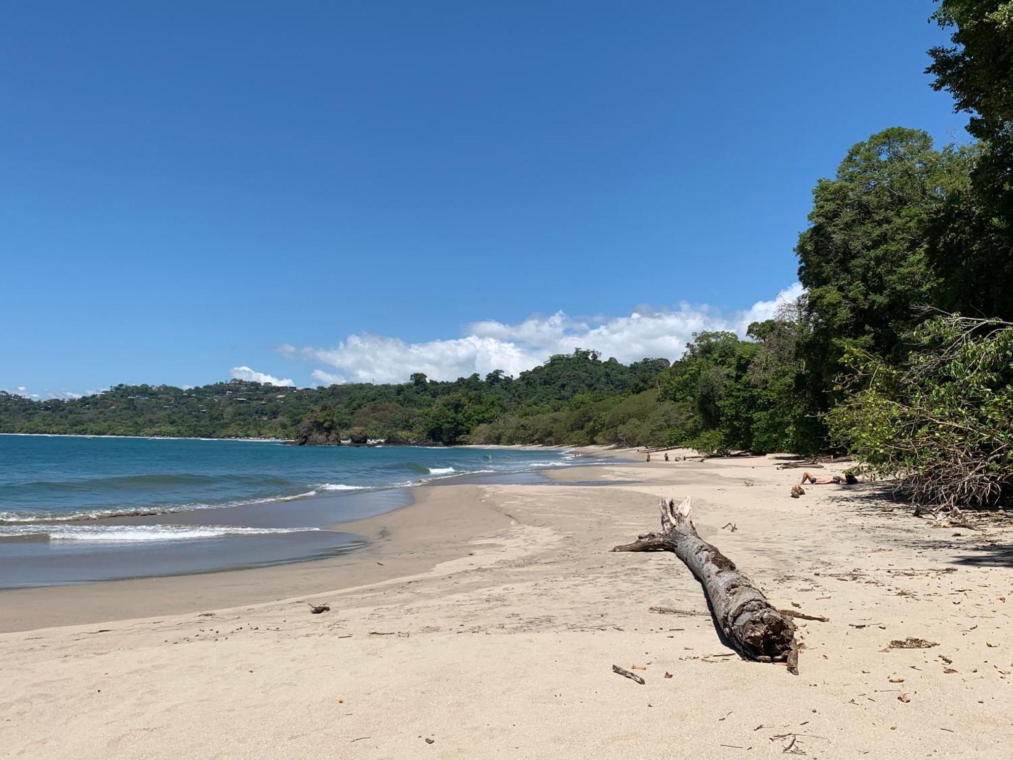 Hotel Playa Espadilla & Gardens Manuel Antonio Zewnętrze zdjęcie