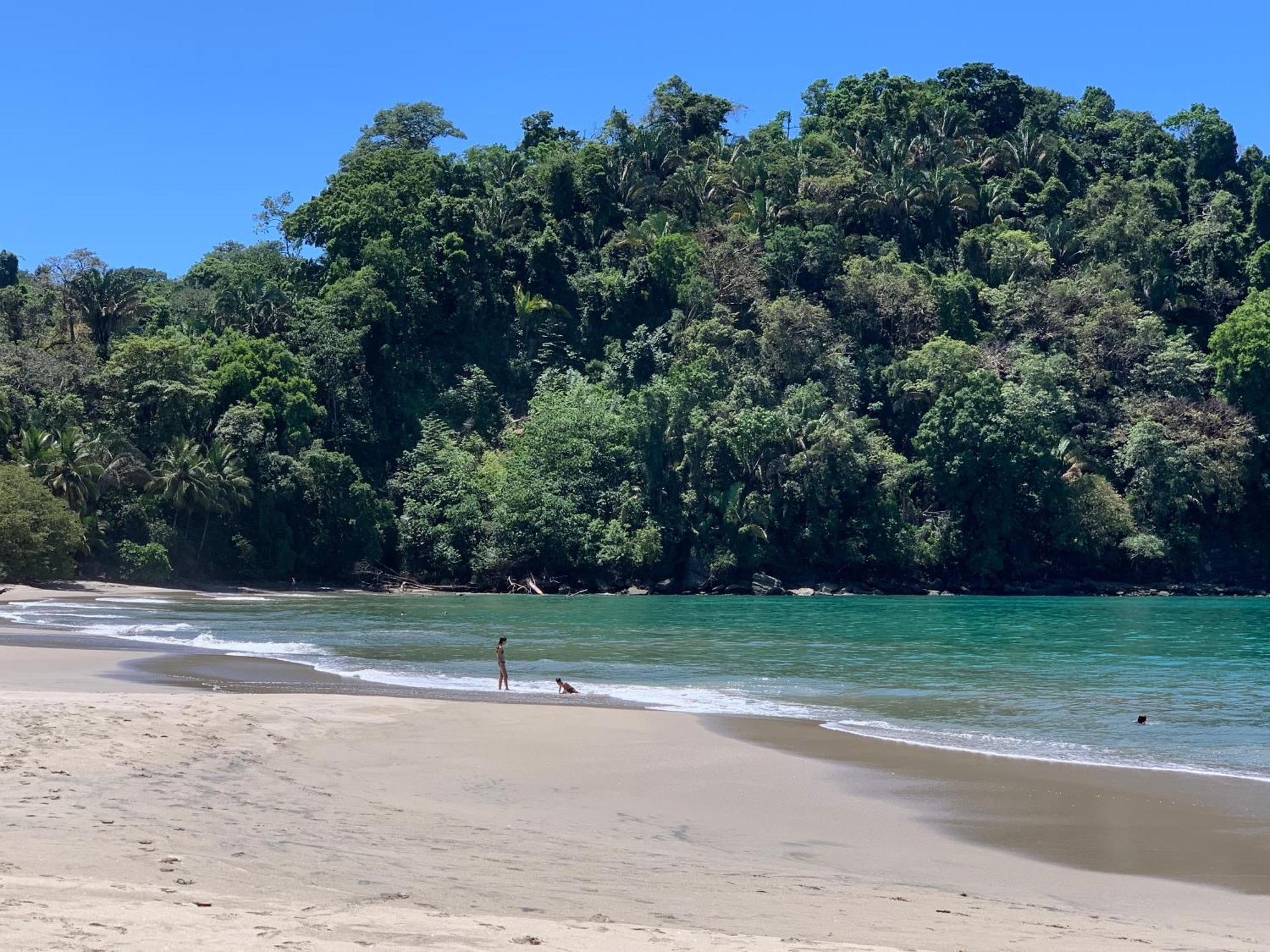 Hotel Playa Espadilla & Gardens Manuel Antonio Zewnętrze zdjęcie